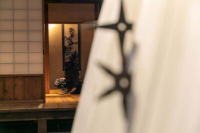 Odawara: Guided Ninja & Samurai Tour of Odawara Castle