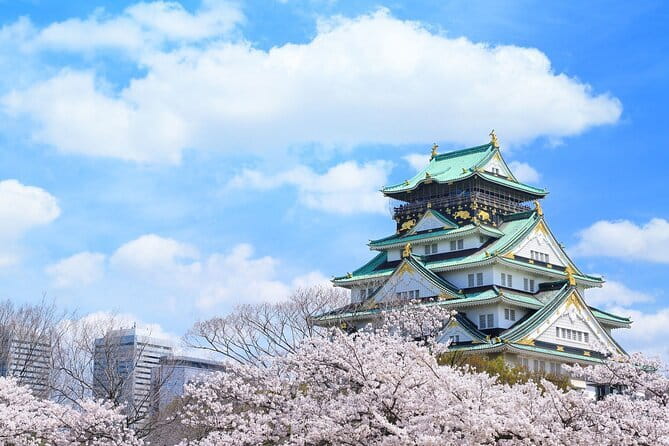Official Japan Go-Kart Through Osaka Castle - Dotonbori after dark