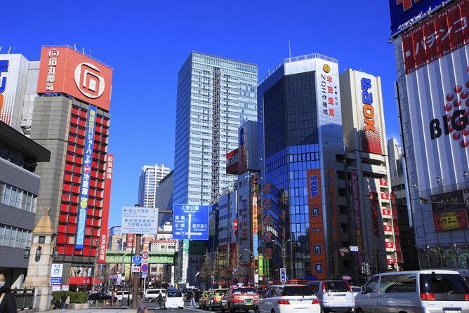 Official Street Go-Kart Tour - Akihabara - Key points at a glance