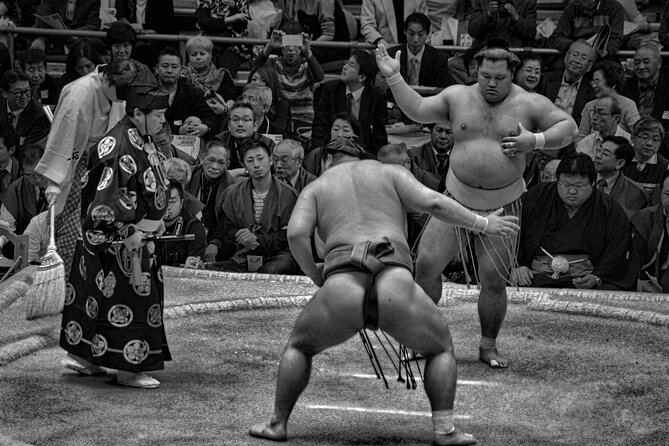 Official Sumo Tournament Ticket with Guided Experience - What the guide adds to the ticket
