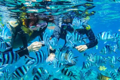 [Okinawa Blue Cave] Snorkeling with Private Guide+ Free Photos