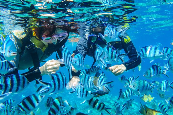 [Okinawa Blue Cave] Snorkeling with Private Guide+ Free Photos - Starting at the clean shop near Cape Maeda