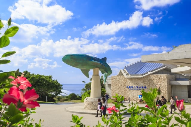 Okinawa Churaumi Aquarium Ticket - Simple entry, with a few rules to know