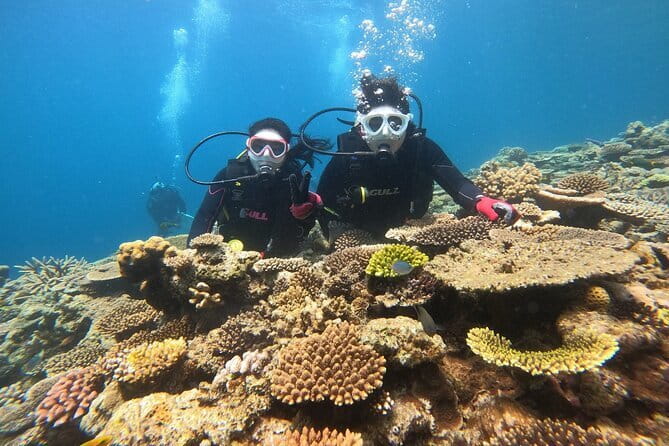 Okinawa: Discover SCUBA Diving 2 Dives at Minna, Sesoko or Motobu - The briefing is where beginners gain confidence