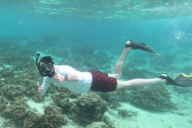 Okinawa: Discover SCUBA Diving 2 Dives at Minna, Sesoko or Motobu - First session: a gentle introduction to Okinawa underwater