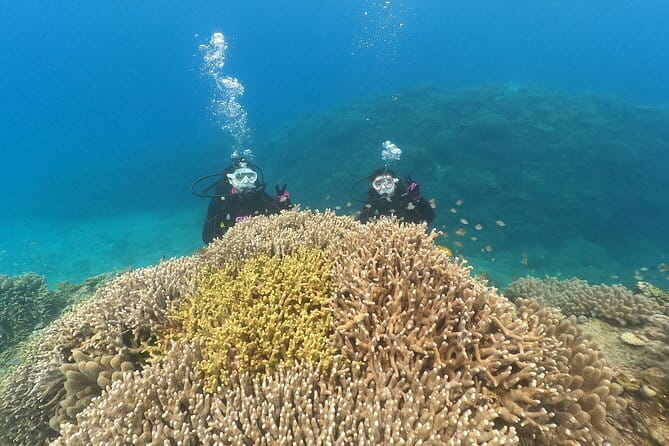 Okinawa: Discover SCUBA Diving 2 Dives at Minna, Sesoko or Motobu - Changing sites for the second session