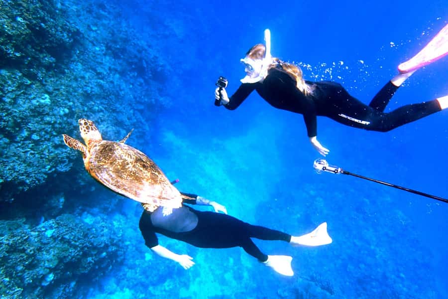 Okinawa: From Naha: Kerama Islands 1-day snorkeling tour - Seasonal extras: whales in winter and shaved ice in summer
