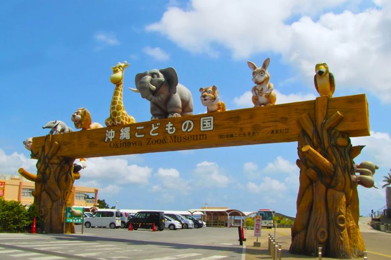 Okinawa FunPASS (Churaumi Series) - QR entry, phone signal, and fine print