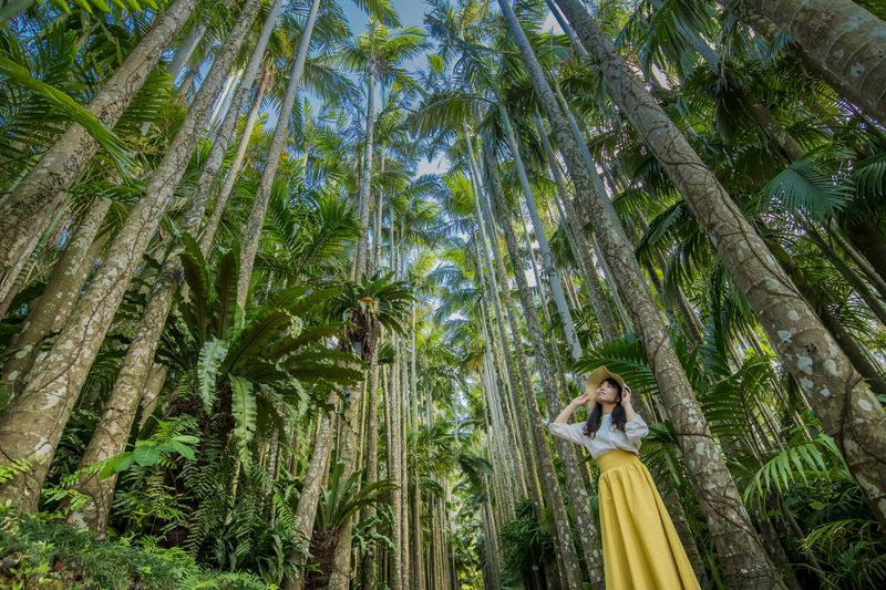 Okinawa FunPASS (Value Series) - From Gyokusendo Cave to Okinawa’s gardens