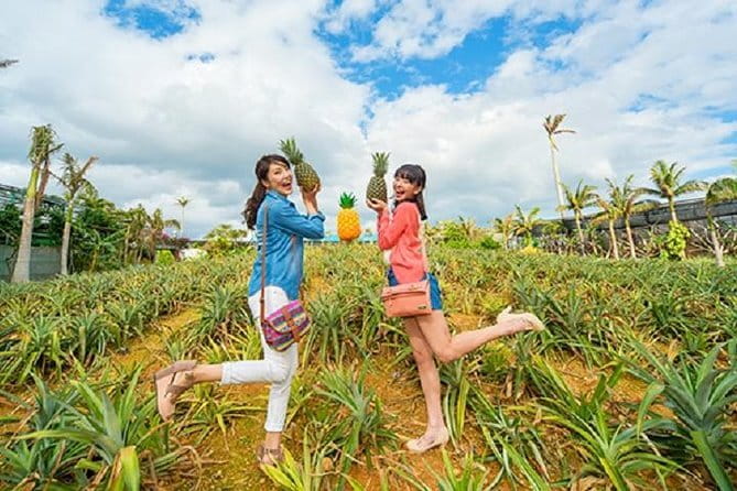 Okinawa HIP-HOP BUS A Course Tour | Churaumi Aqualium,Kori Island - Why this bus tour makes sense in Okinawa