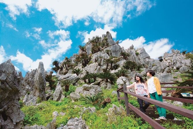 Okinawa Hip-Hop Bus C Course Tour to Northern Island - Why this northern Okinawa bus tour is worth considering