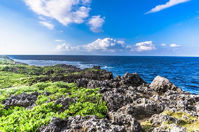 Okinawa Hip-Hop Bus C Course Tour to Northern Island - Yanbaru Forest Visitor Center and its 360-degree film