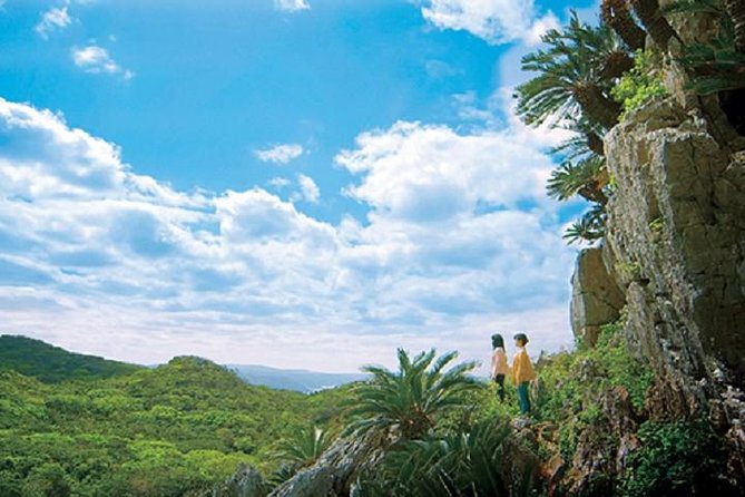 Okinawa Hip-Hop Bus C Course Tour to Northern Island - Cape Hedo, Okinawa’s northernmost point