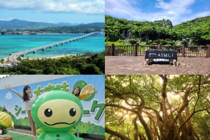 Okinawa Hip-Hop Bus C Course Tour to Northern Island - Leaving Naha at 8:00 AM