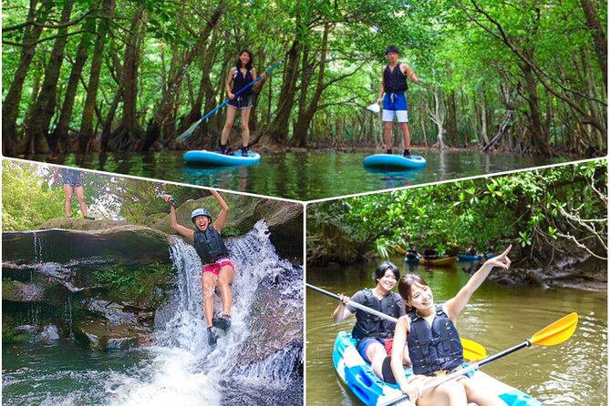 Okinawa Iriomote Mangrove SUP or Canoe and Splash Canyoning Tour - Key points to know before you book