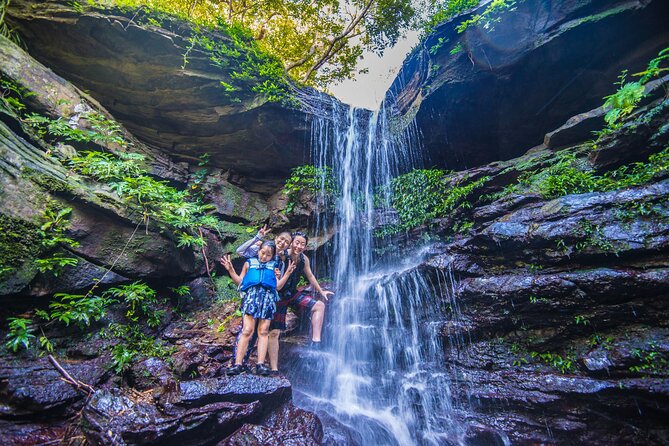 Okinawa Iriomote Mangrove SUP or Canoe Tour - At a Glance: What Makes This Tour Worth Considering