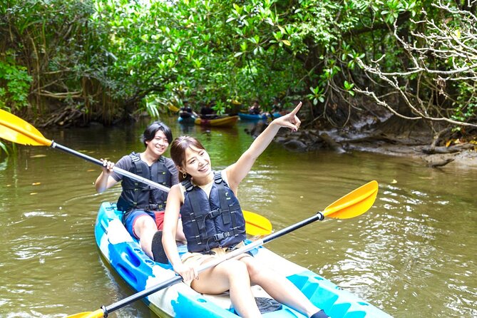 Okinawa Iriomote Mangrove SUP or Canoe Tour - A Gentle Start on Iriomote’s Mangrove River