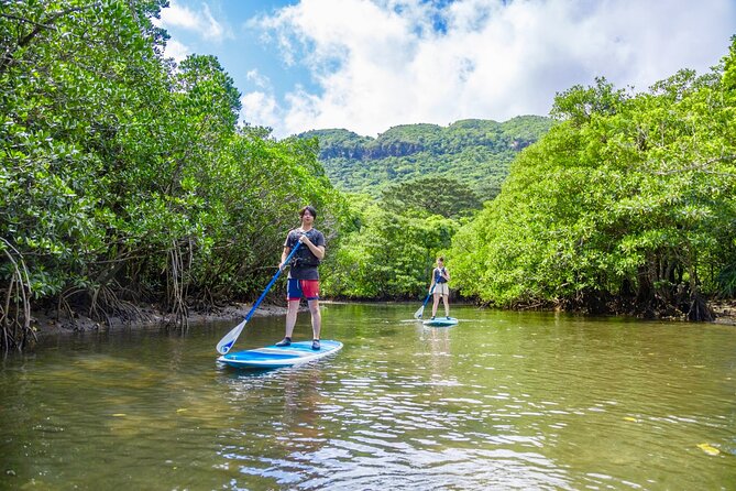 Okinawa Iriomote Mangrove SUP or Canoe Tour - What the Guide Adds to the Experience