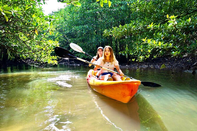 Okinawa Iriomote Mangrove SUP or Canoe Tour - What to Wear and What to Bring