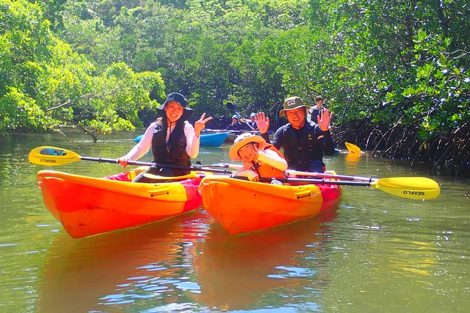 Okinawa Iriomote Mangrove SUP or Canoe Tour - Who Should Book, and Who Should Think Twice