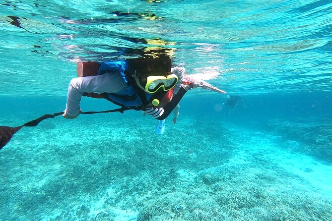 Okinawa Iriomote Snorkeling Tour at Coral Island - The return to Uehara and the useful hot shower