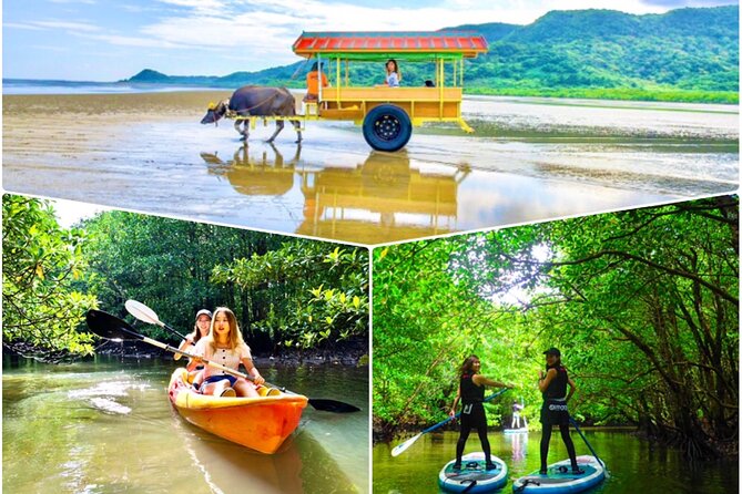 Okinawa Iriomote SUP or Canoe and Sightseeing in Yubujima Island - Key points to know before booking