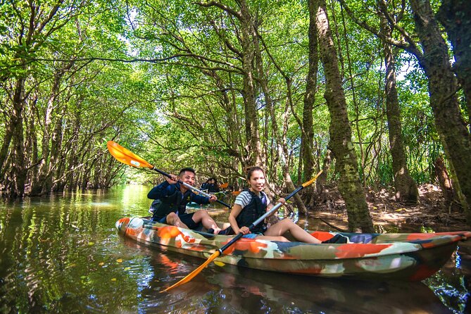 Okinawa Iriomote SUP or Canoe and Sightseeing in Yubujima Island - First stop: calm water in the mangroves