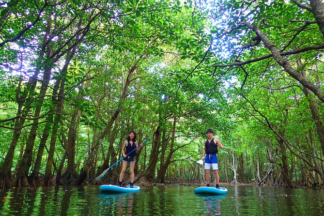 Okinawa Iriomote SUP or Canoe and Sightseeing in Yubujima Island - Lunch break from 11:30 AM to 1:00 PM