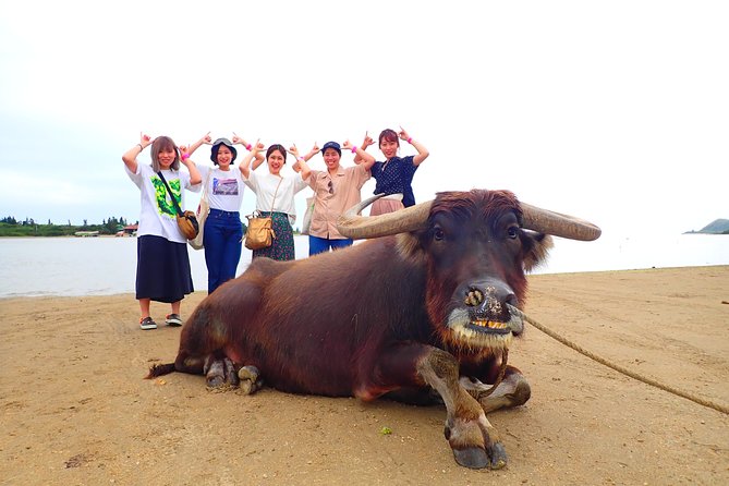 Okinawa Iriomote SUP or Canoe and Sightseeing in Yubujima Island - Free photos are a useful bonus