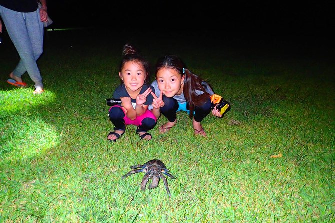 Okinawa Iriomotejima Night Adventure Tour - Why Iriomote is worth seeing after dark