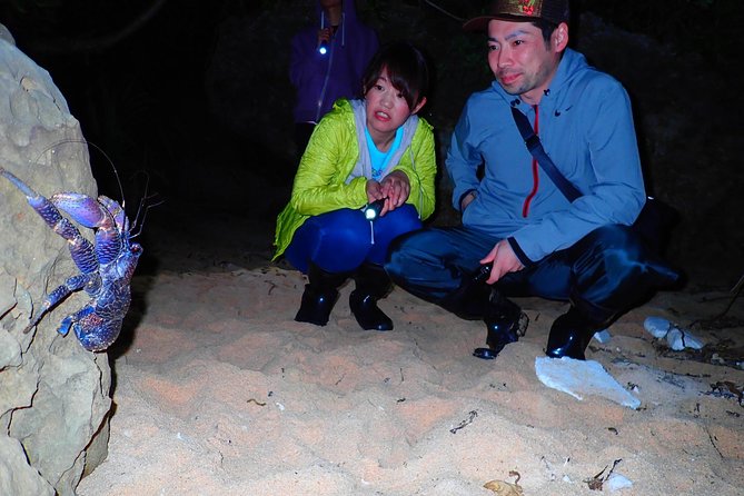 Okinawa Iriomotejima Night Adventure Tour - Coconut crabs, land crabs, and the beach