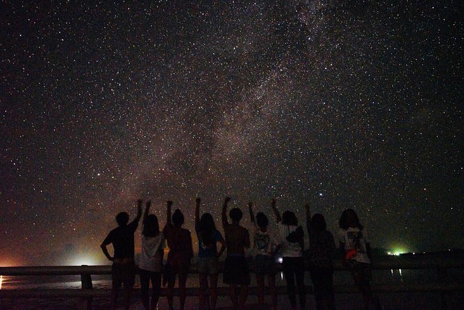 Okinawa Ishigaki Island Night Starry sky and Jungle night tour - Key points to know before booking