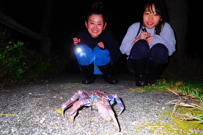 Okinawa Ishigaki Island Night Starry sky and Jungle night tour - A 7:30 PM start at Ishigaki Terminal