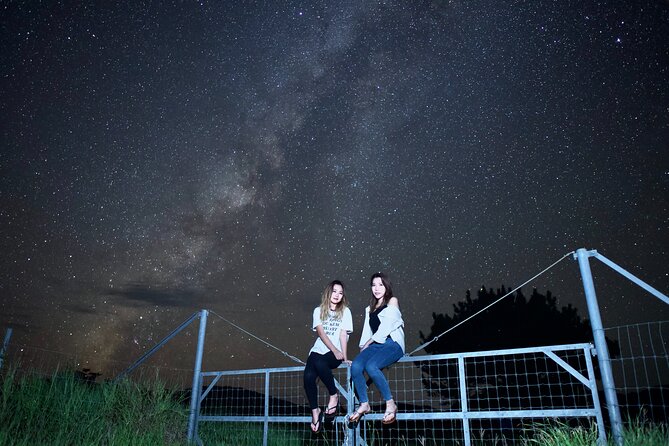 Okinawa Ishigaki Island Night Starry sky and Jungle night tour - Wildlife sightings, from frogs to coconut crabs