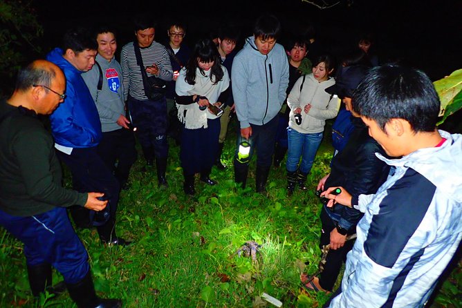 Okinawa Ishigaki Island Night Starry sky and Jungle night tour - Is $32.37 a fair price?