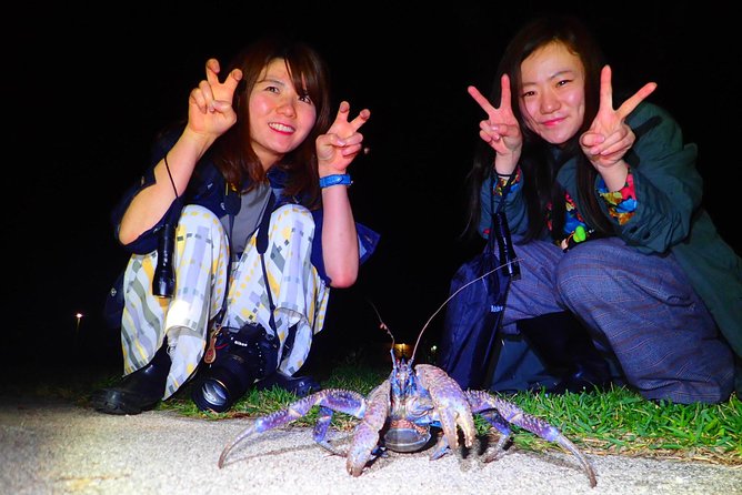Okinawa Ishigaki Island Night Starry sky and Jungle night tour - Who should book this evening?