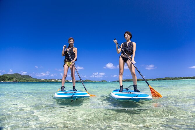 Okinawa Ishigaki Kabira Bay SUP or Canoe Tour - Five things to know before booking