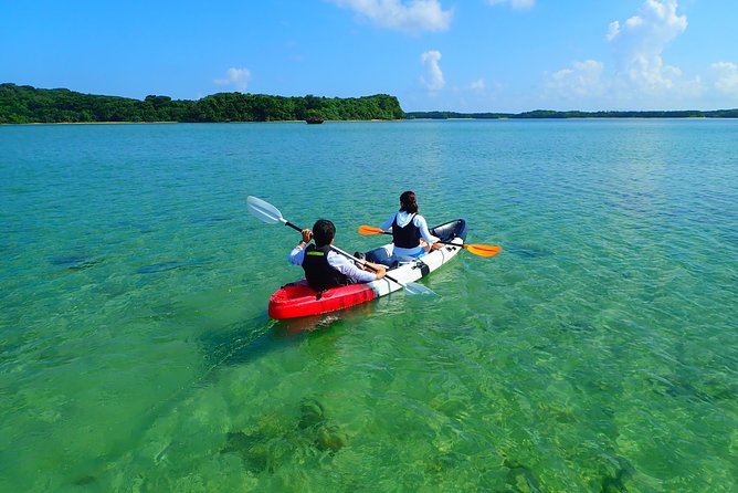 Okinawa Ishigaki Kabira Bay SUP or Canoe Tour - What the strong rating tells you