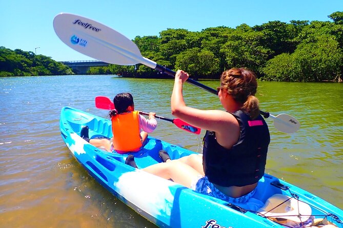 Okinawa Ishigaki Mangrove SUP or Canoe Tour - Key points at a glance