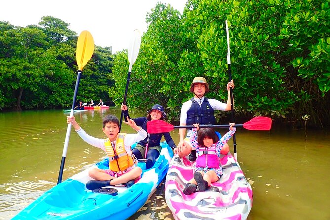 Okinawa Ishigaki Mangrove SUP or Canoe Tour - A gentle way to see Ishigaki’s Miyara River