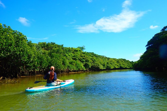 Okinawa Ishigaki Mangrove SUP or Canoe Tour - The guide can make the difference