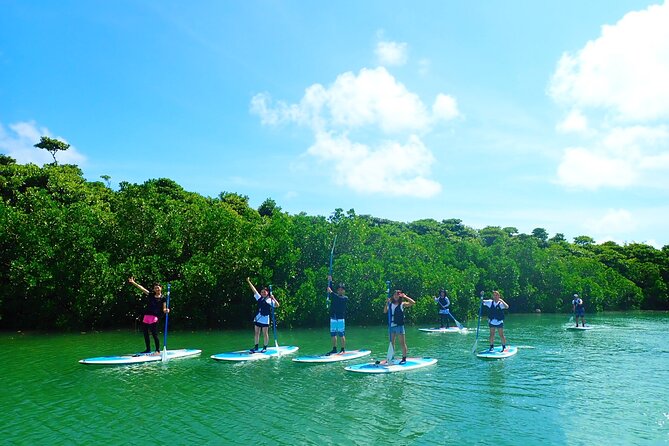 Okinawa Ishigaki Mangrove SUP or Canoe Tour - Why the $52.19 price can make sense