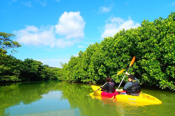 Okinawa Ishigaki Mangrove SUP or Canoe Tour - Practical details before you arrive