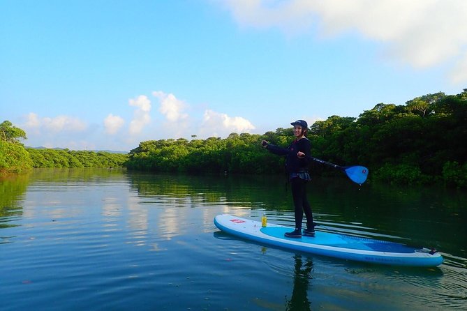 Okinawa Ishigaki Mangrove SUP or Canoe Tour - Weather, cancellations, and age limits
