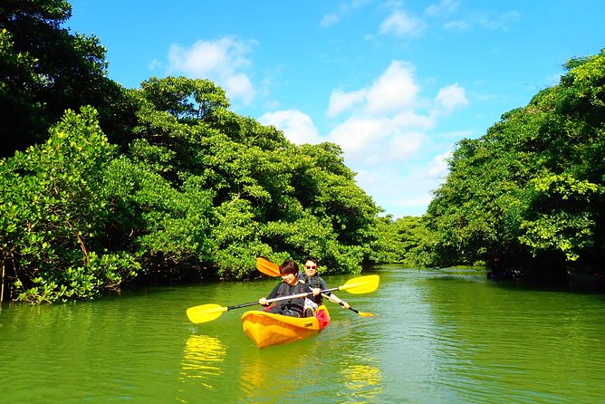 Okinawa Ishigaki Mangrove SUP or Canoe Tour - Who will enjoy this Ishigaki outing