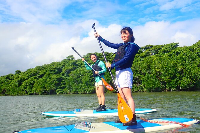 Okinawa Ishigaki Mangrove SUP or Canoe Tour - What happens at the Miyara River Hirugi Grove