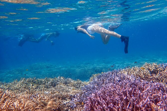 Okinawa Ishigaki Phantom Island Snorkeling Tour - Who will enjoy this tour most?