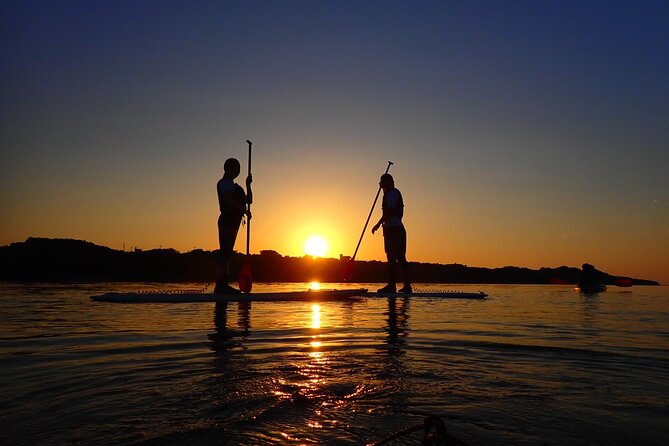 Okinawa Ishigaki Sunset SUP or Canoe Tour - From Ishigaki Port to the Miyara River Hirugi Grove