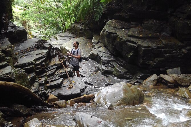 Okinawa Jungle Trails & Waterfalls – Private Yanbaru Tour - Quick points about the Yanbaru river trek