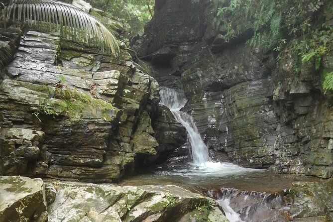 Okinawa Jungle Trails & Waterfalls – Private Yanbaru Tour - What $69.02 per person gets you